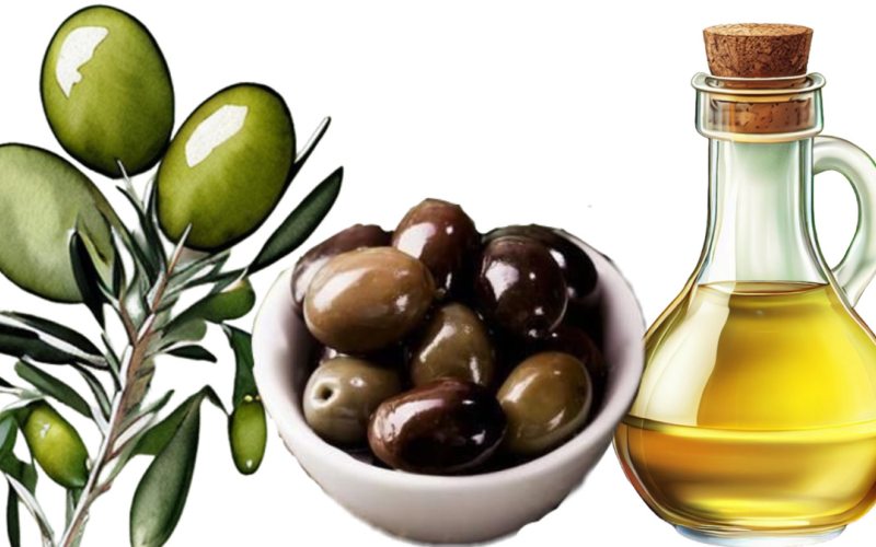 زيت الزيتون